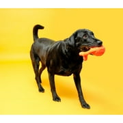 (2 pack) Hartz Dura Play Rocket Dog Toy, Large, Latex, Color May Vary