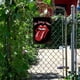 thumbnail image 3 of Placa de letrero de estaño de Metal con placa de lengua de los Rolling Stones para Bar Pub (20x30cm), 3 of 7