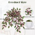 thumbnail image 2 of Planta colgante de sandía artificial Peperomia Briful Pink, 2 of 5