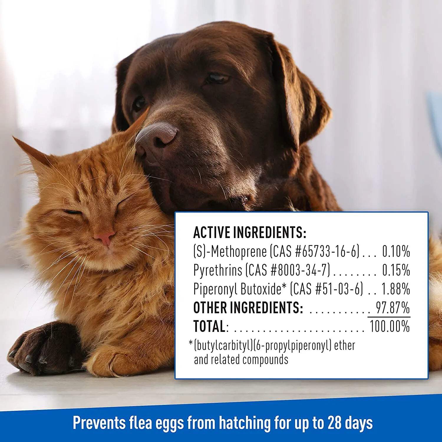 ADAMS Plus Flea & Tick Shampoo with Precor for Cats, Kittens, Dogs & Puppies Over 12 Weeks Of Age, Sensitive Skin Flea Treatment, 12 oz