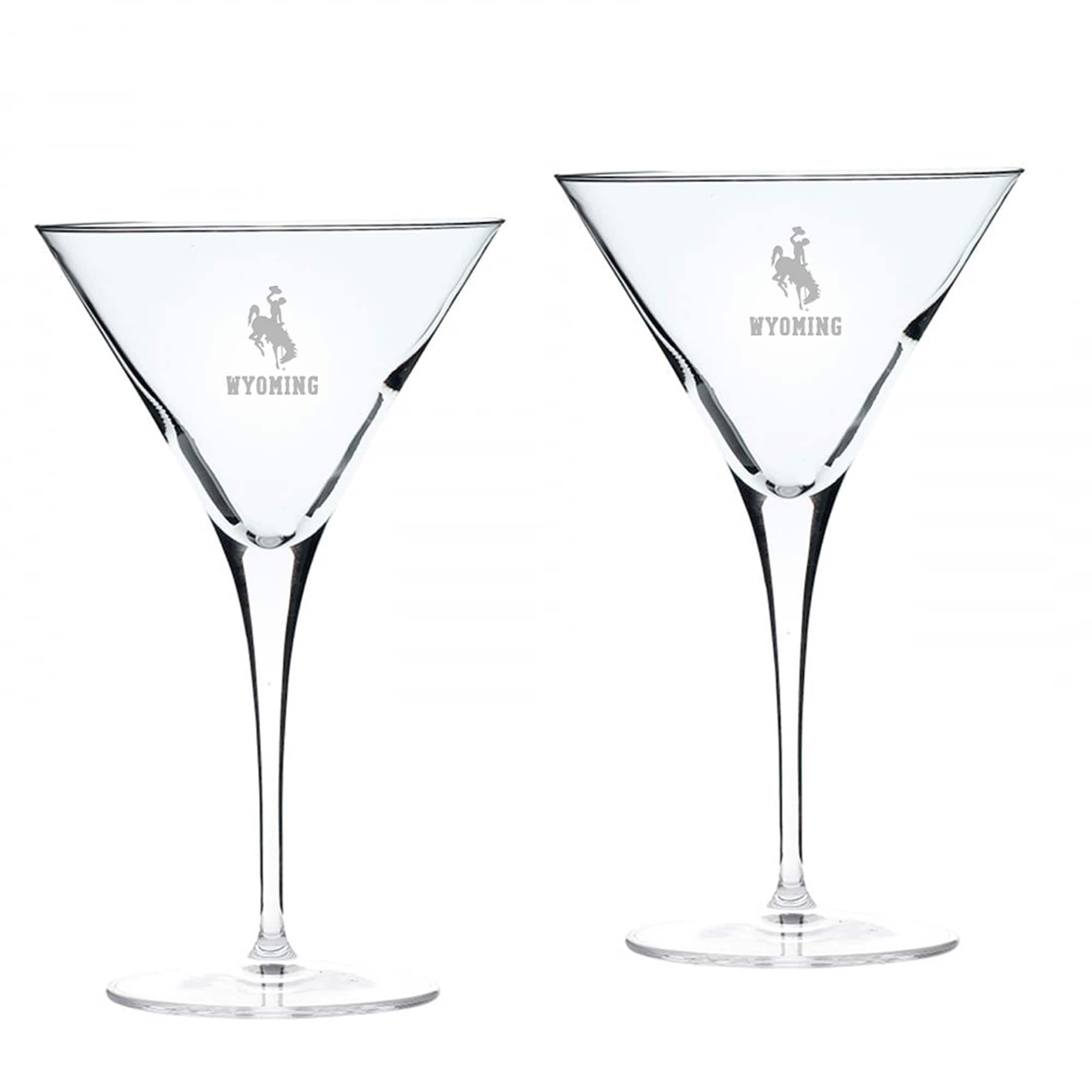 University Glass NCAA Tennessee Volunteers Luigi Bormioli Titanium Martini Glass Clear 10 oz Set of 2 