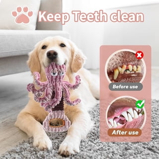 Vibrant Life Playful Buddy Dog Toys, Emoticon, Extra Small, 5 Count