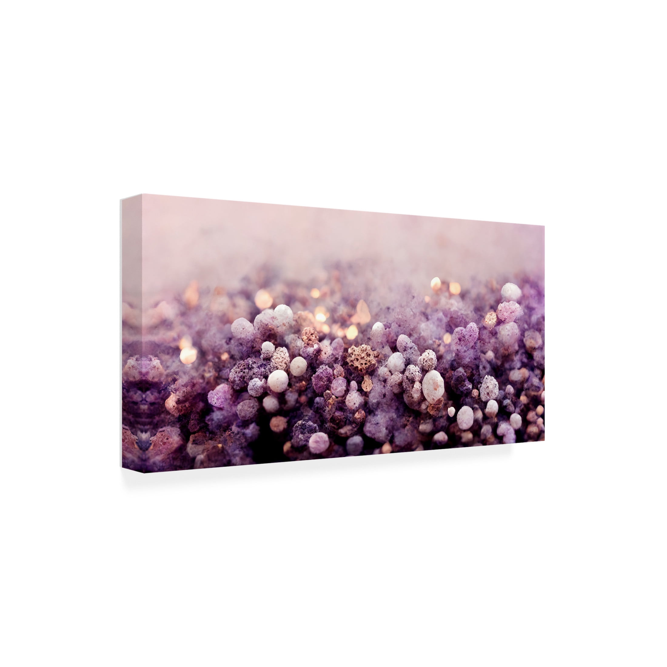 Treechild 'Purple Pepples' Canvas Art