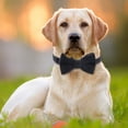 thumbnail image 2 of Cat Soft Velvet With Bow Tie Bell Breakaway Boy Girl Basic Pure Colors Male Female, 2 of 9