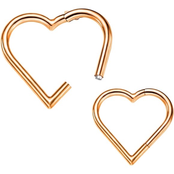 PinesC 2 Pcs G23 Titanium Heart Daith Piercing Jewelry Rook Tragus Clicker Ring Cartilage Earrings 16G