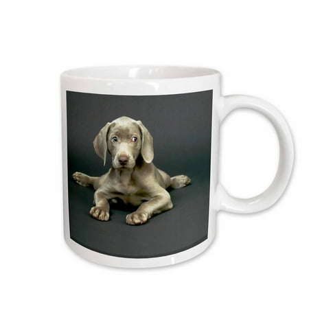 

3dRose Weimaraner Puppy Ceramic Mug 15-ounce