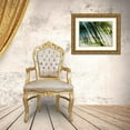thumbnail image 3 of Pfrommer, Sven 14x12 Gold Ornate Wood Framed with Double Matting Museum Art Print Titled - Evergreen No. 10, 3 of 4