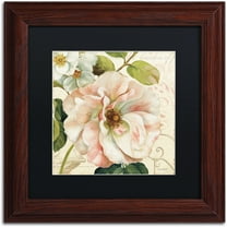 Trademark Fine Art "Les Jardin II" Canvas Art by Lisa Audit, Black Matte, Wood Frame