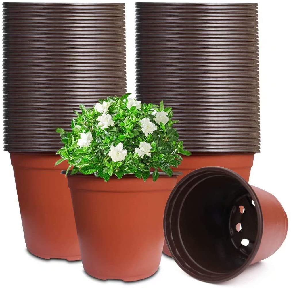 100 x 6cm Plant Pots Small Terracotta Plastic Flower Pot Cactus Quality 2.5" 