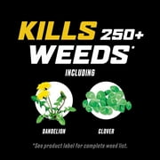 Ortho WeedClear Weed Killer for Lawns Concentrate, 1 gal.