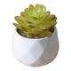 thumbnail image 5 of Yuarrent Simulación suculenta artificial Bonsai Flor falsa Paisaje en maceta Type2 NO2, 5 of 6