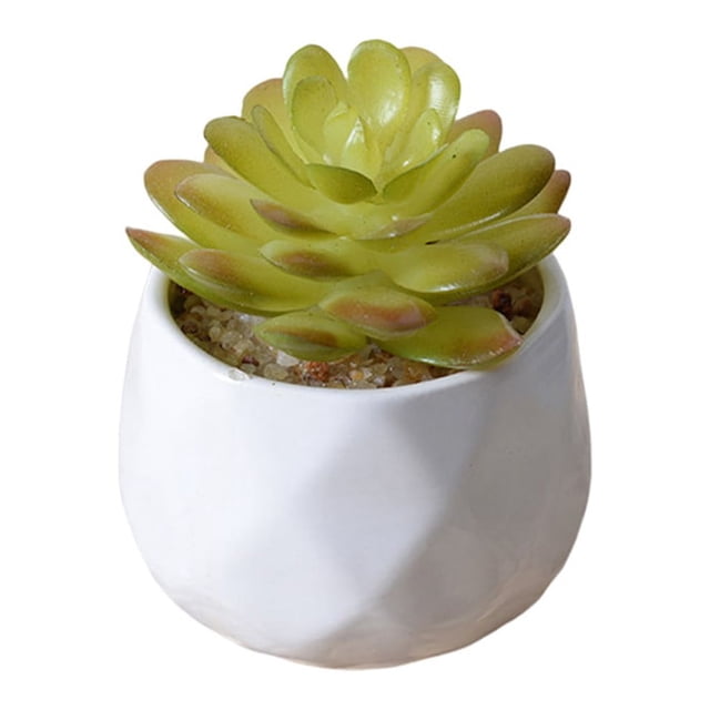 Matsuzay Bonsái de simulación suculenta Artificial, arreglo de flores falsas, manualidades, sala de estar, hogar, jardín, suministros de Type3 NO3