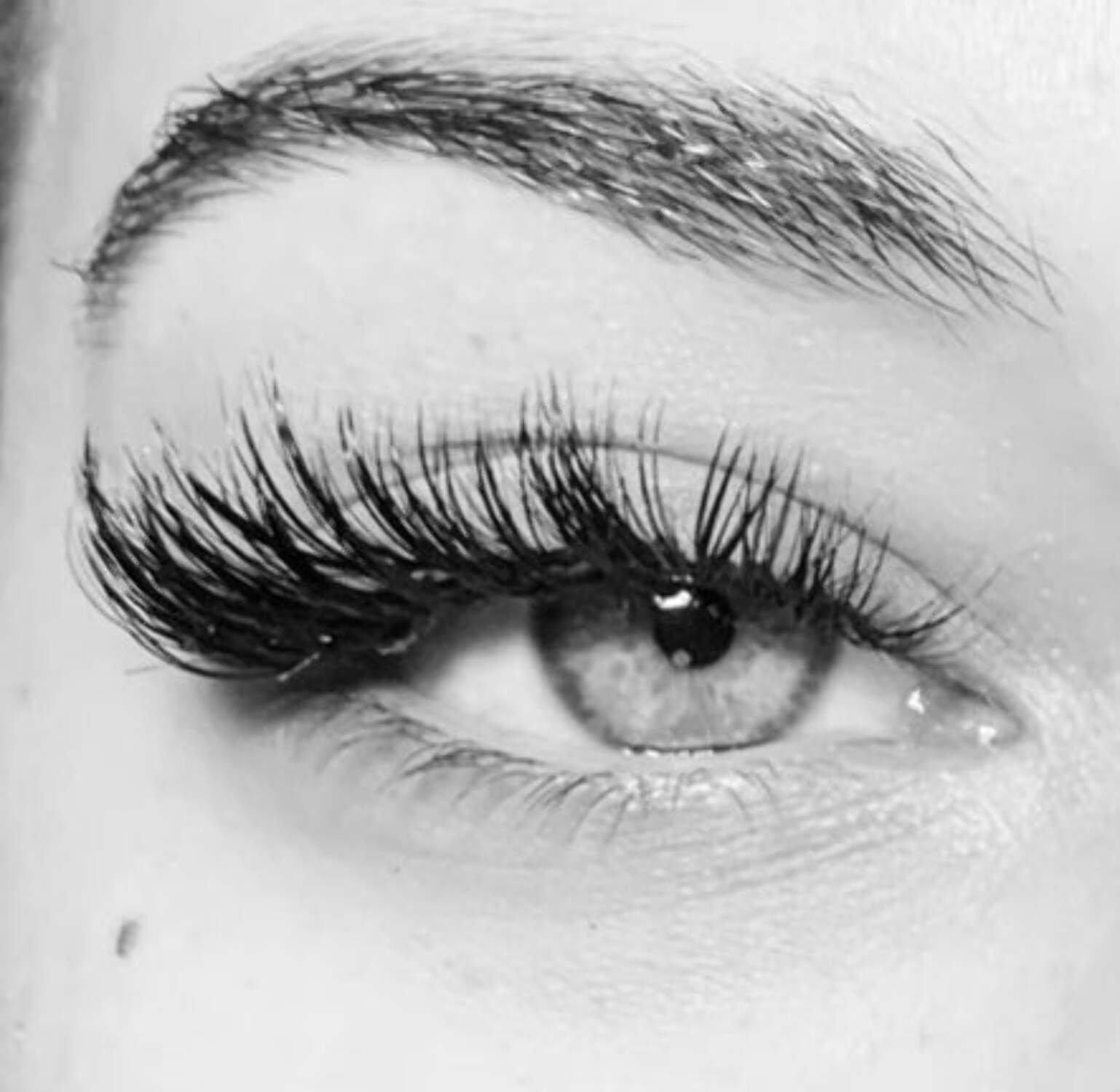 DesignerLash Kit-Cat Eye - Black Eyelash Extension Kit - Enhance Your Look with 2 Sets of Lashes with Adhesive, Tools & Brush