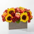 thumbnail image 3 of Secret Garden Flower Shop Fresh Cider Bouquet - Standard, 3 of 3