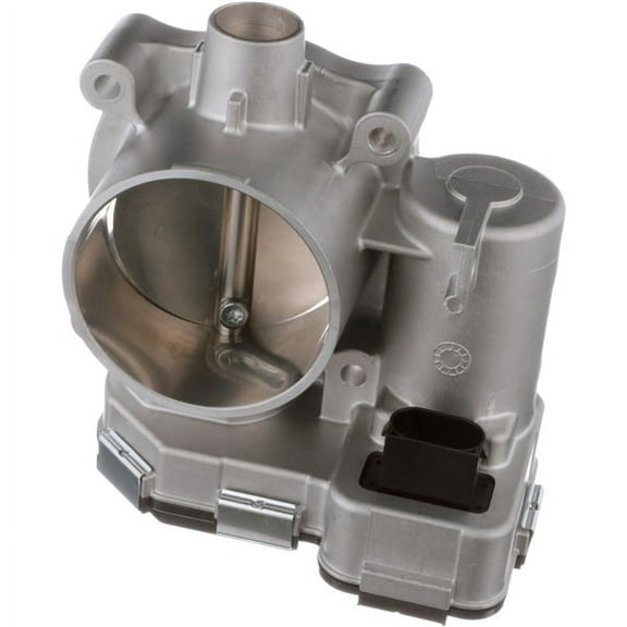 Fuel Injection Throttle Body