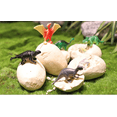 thumbnail image 5 of Dinosaur Egg Archaeological Excavation Wholesale Tyrannosaurus Rex Simulation Dinosaur Model, 5 of 5