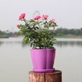 thumbnail image 5 of Plastic Flower Pot Succulents Plant Bonsai Ornament Planter Decoration Container, 5 of 5