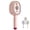B, variant on Electric Spray Air Cushion Massage Comb, Upgraded Vibration Misting Brushing Tool, Red Light Air Cushion Mister for Both Long/Short Hairs Reduce Frizz, Nourishes Hairs