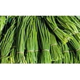 thumbnail image 4 of Chives Herb Seeds/ Perennial/ Full Sun/3000 Seeds 1/8 oz/ Zellajake Farm and Garden - B201, 4 of 5