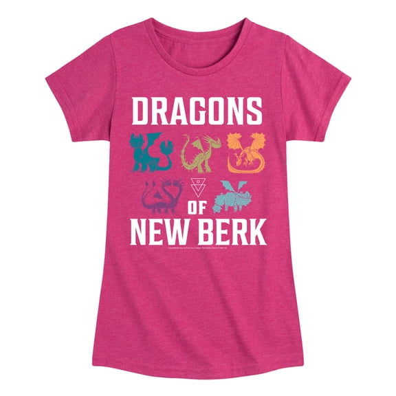 How to Train Your Dragon - Dragons Of New Berk Fitted Short Sleeve Graphic T-Shirt