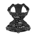 thumbnail image 4 of Lsque Travel The World Dog Harness, No-Pull Pet Harness with 2 Leash Clips, Adjustable Soft Padded Dog Vest with Easy Control Handle for Large Dogs-Medium, 4 of 9