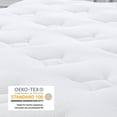 thumbnail image 4 of REGOSS 10 Inch Hybrid King Mattress, Adult, Plush Foam Mattress and Individually Pocketed Coils, Medium Firm, CertiPUR-US, 4 of 7
