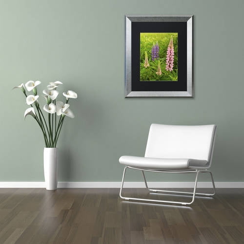 Trademark Fine Art "Lupine Family" Canvas Art by Michael Blanchette Photography Black Matte, Silver Frame