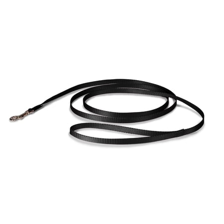 PetSafe Leash, 3/8in x 6ft, Black