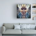 thumbnail image 2 of Canvas Wall Art - David Manlove 'Nefertiti 2' Wall Art for Living Room, Bedroom, or Office Décor by Trademark Fine Art - 24 x 24 Inches, 2 of 4