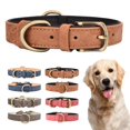 thumbnail image 1 of Collar de piel de ébano para perros grandes, acolchado y ajustable, 1 of 7
