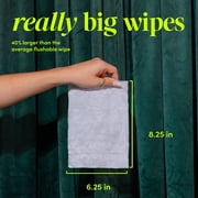 goodwipes Flushable Butt Wipes, Variety Box, 6 Pack Variety Box, 300 Total XL Wipes
