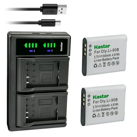 Kastar DB-110 Battery 2-Pack and LTD2 USB Charger Replacement for Ricoh THETA V 360 Spherical Camera Ricoh THETA Z1 360 Spherical Camera PEN1067 910830 Ricoh THETA X 360 Spherical Camera