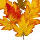 thumbnail image 2 of (1 paquete) (rojo vino) Hoja de arce roja artificial Otoño Hojas de otoño Decoración Mesa Arreglo floral Adorno Tridente Fieltro Simulación Hoja de arce 60x35 cm, Tela de seda, Plástico + Alambre, 2 of 12