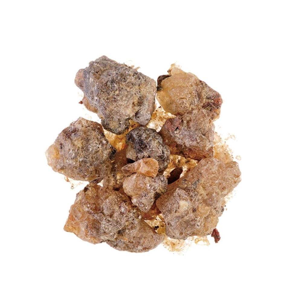nippon kodo Meditation Chie Incense Powder (30 grams), Japanese Quality Incense, Since 1575