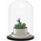 thumbnail image 3 of Black Wooden Base 20 Cm - Transparent Decorative Glass Cloche With Wooden Top For Lighting, Table Decoration, Antiques-xdd, 3 of 4