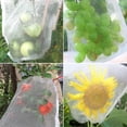 thumbnail image 2 of 50 bolsas de protección para frutas, insectos, mosquitos, insectos, red, barrera, bolsa_ kaili Sencillez, 2 of 4