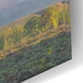 thumbnail image 3 of Epic Art 'Morning Fog In the Tetons - Grand Teton National Park' by Darren White, Acrylic Glass Wall Art, 16"x12", 3 of 8