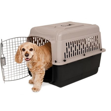 doskocil dog crate walmart