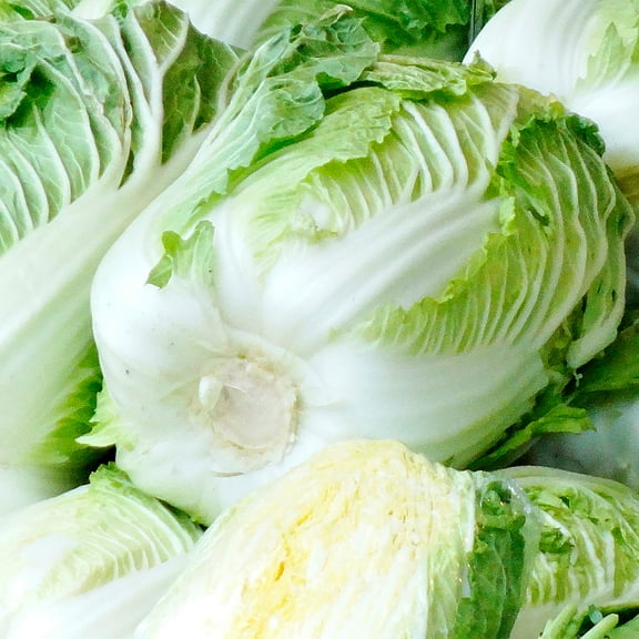 Chinese Cabbage Seeds - Hwi Mo Ri - Hybrid - 4 Oz ~4480 Seeds - Non-GMO, F1 Hybrid - Asian Garden Vegetable