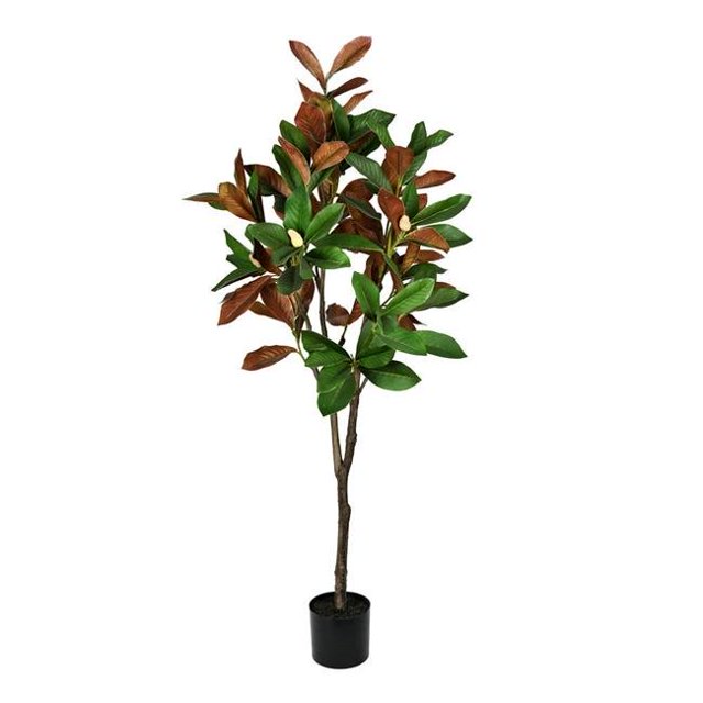 Vickerman FH190250 5 ft. Green Potted Magnolia Tree in Pot