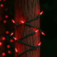 thumbnail image 3 of Novelty Lights RetroGlo® Mini Lumières DEL, 100 Ampoules Rouges en Céramique sur Fil Vert, 34 Pi avec Espacement de 4 Pouces, Style Incandescent avec Efficacité Moderne, Noyau Blanc Chaud 2700K, Ampoules Interchangeables, 3 of 6