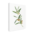 thumbnail image 2 of Emma Caroline 'Sweet Olive Branch I' Canvas Art, 2 of 3