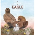thumbnail image 3 of The Eagle (Animals in the Wild), 3 of 3