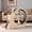 Inner diameter 95cm Wood color, variant on Large Wooden Cat Exercise Wheel for Indoor Cats – Quiet Treadmill, Sisal Scratching Pad, Play Balls, Anti-Slip Wheel, Safe Narrow Gap – Natural Wood, 85cm Inner Diameter