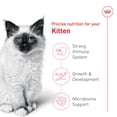 thumbnail image 3 of Feline Health Nutrition Kitten - Dry Cat Food, 3 of 5