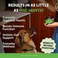 thumbnail image 2 of Pet Honesty Gut + Immune Health Digestive Probiotic Chews with Prebiotics, Digestive Enzymes, Daily Gut Health & Immune Support for All Dogs (Duck, 90 Ct), 2 of 8