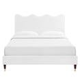 thumbnail image 6 of Modway Current Performance Velvet Queen Platform Bed in White, 6 of 10