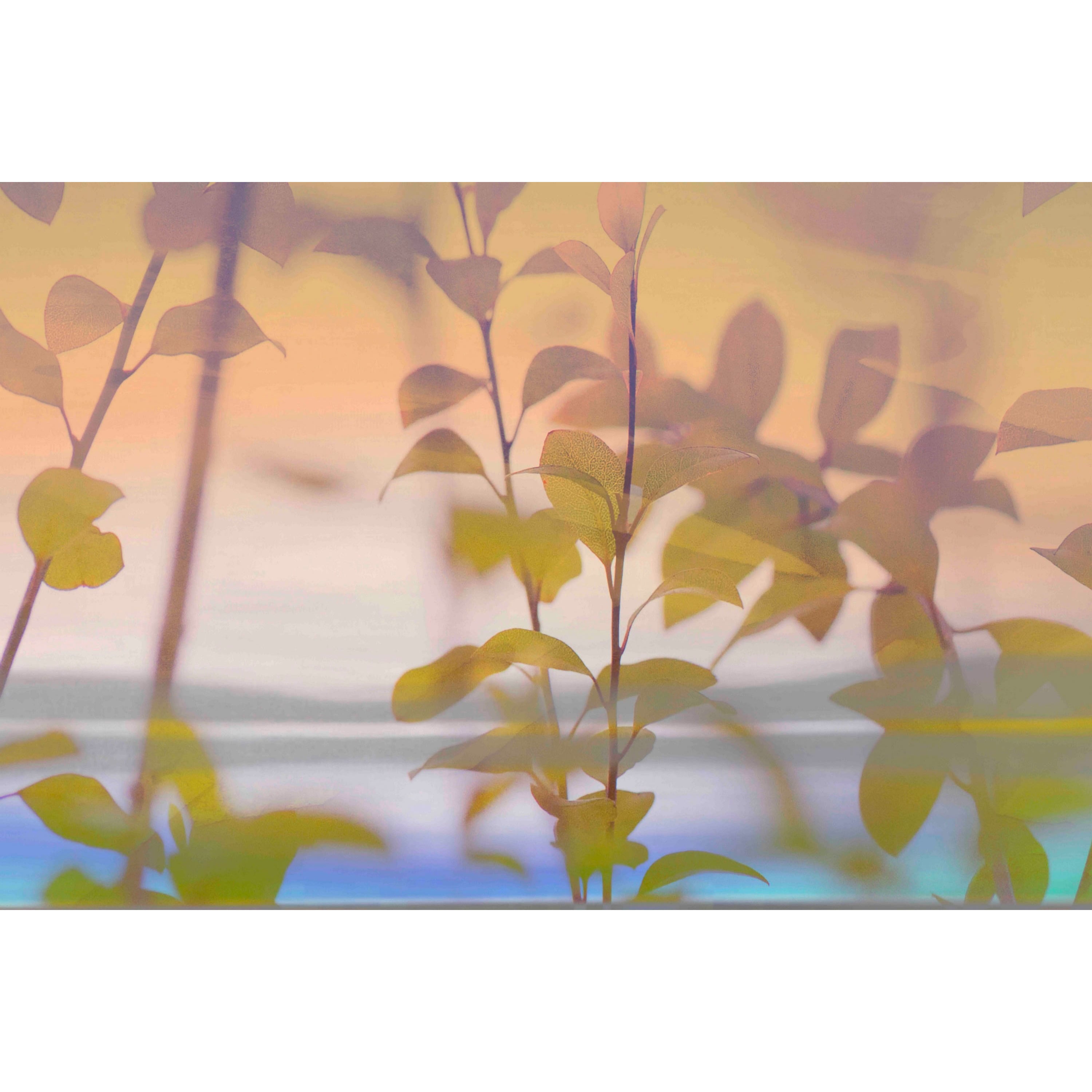 Marmont Hill - "Tranquility IV" by Sia Aryai Painting Print on Wrapped Canvas