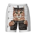 thumbnail image 4 of Lsque Mens Swim Trunks Cat Holding Mugshot Sign Pattern - Bathing Suit Compression Liner - Beach Swim Shorts Swimwear - (S-3XL) - Stretch Quick Dry -X-Large, 4 of 9