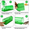 thumbnail image 2 of Humane & Effective, No-Kill Catch & Release, Indoor/Outdoor, 2-Pack Transparent Live Mouse Trap, 2 of 6